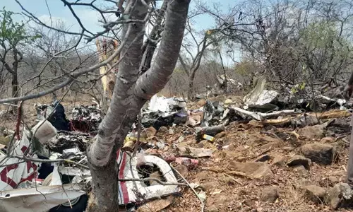 ವಿಮಾನ ಪತನ ; ಭಾರತೀಯ ಗಣಿ ಉದ್ಯಮಿ, ಪುತ್ರ ಸೇರಿ ಆರು ಮಂದಿ ಮೃತ್ಯು