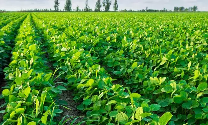 ಮುಂಗಾರು ಬೆಳೆ ಸಮೀಕ್ಷೆ: ಬೆಳೆ ದಾಖಲಾತಿಗೆ ರೈತರಿಗೆ ಅವಕಾಶ