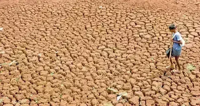 ಬರ ಅಧ್ಯಯನಕ್ಕೆ ಮುಂದಿನ ವಾರ ಕರ್ನಾಟಕಕ್ಕೆ ಕೇಂದ್ರ ಅಧ್ಯಯನ ತಂಡ ಭೇಟಿ