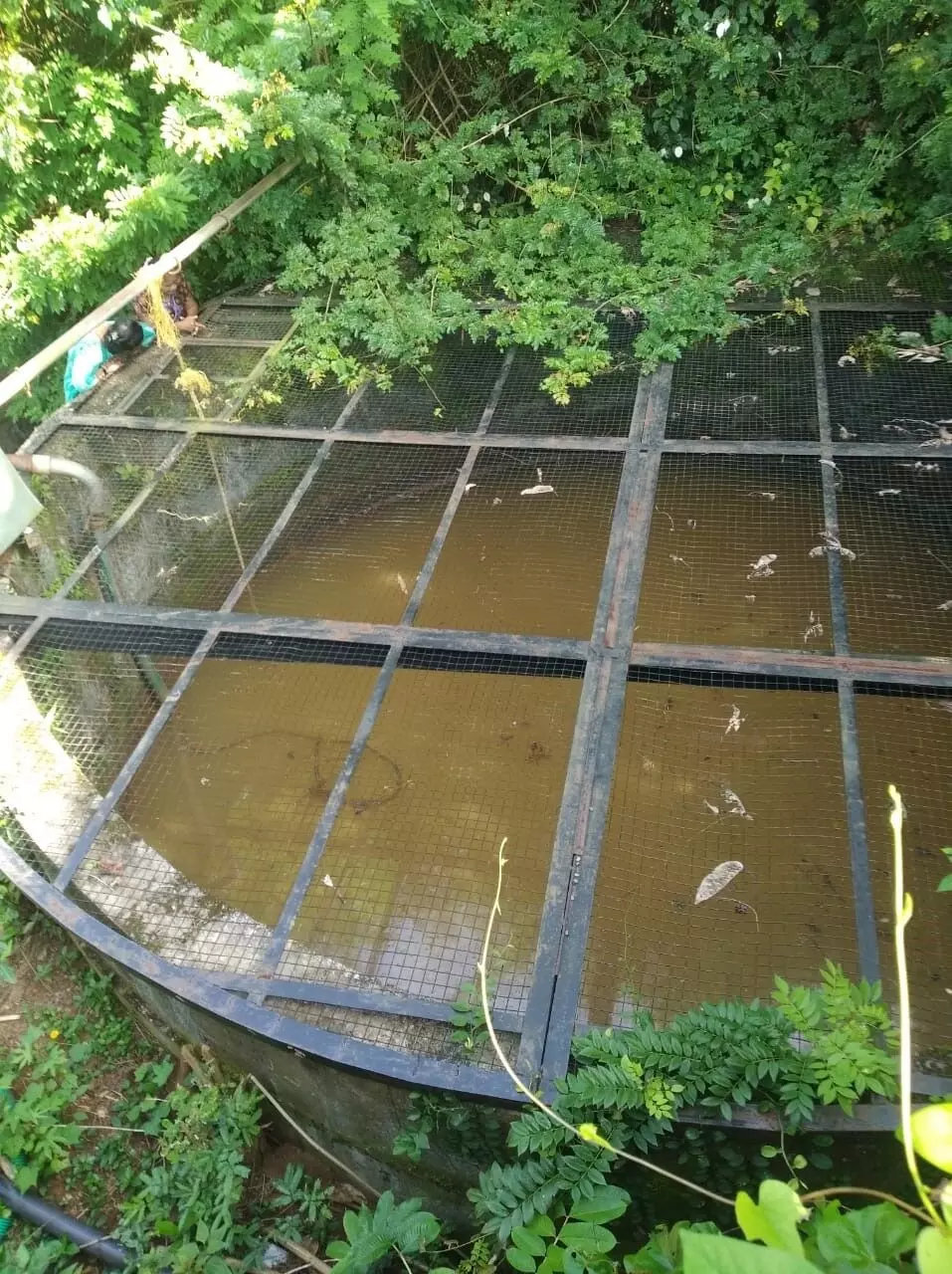 ಕಾರ್ಕಳ | ಬಂಗ್ಲೆಗುಡ್ಡೆ ಸದ್ಭಾವನ ನಗರದಲ್ಲಿ ಕಲುಷಿತ ನೀರು ಪೂರೈಕೆ: ಆರೋಪ ಕಾರ್ಕಳ | ಬಂಗ್ಲೆಗುಡ್ಡೆ ಸದ್ಭಾವನ ನಗರದಲ್ಲಿ ಕಲುಷಿತ ನೀರು ಪೂರೈಕೆ: ಆರೋಪ