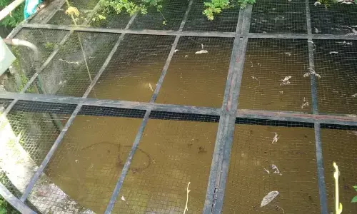 ಕಾರ್ಕಳ | ಬಂಗ್ಲೆಗುಡ್ಡೆ ಸದ್ಭಾವನ ನಗರದಲ್ಲಿ ಕಲುಷಿತ ನೀರು ಪೂರೈಕೆ: ಆರೋಪ