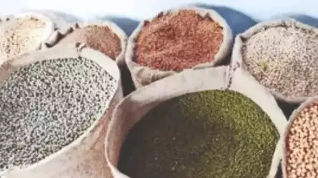 ಬ್ರ್ಯಾಂಡೆಡ್ ಸಿರಿಧಾನ್ಯ ಹುಡಿಗೆ ಶೇ.5 ತೆರಿಗೆ: ಜಿಎಸ್ಟಿ ಮಂಡಳಿ ಸಭೆಯ ನಿರ್ಧಾರ ಬ್ರ್ಯಾಂಡೆಡ್ ಸಿರಿಧಾನ್ಯ ಹುಡಿಗೆ ಶೇ.5 ತೆರಿಗೆ: ಜಿಎಸ್ಟಿ ಮಂಡಳಿ ಸಭೆಯ ನಿರ್ಧಾರ