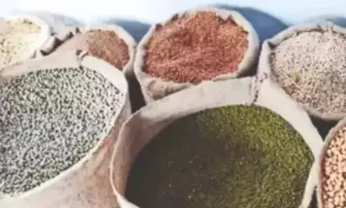 ಬ್ರ್ಯಾಂಡೆಡ್ ಸಿರಿಧಾನ್ಯ ಹುಡಿಗೆ ಶೇ.5 ತೆರಿಗೆ: ಜಿಎಸ್ಟಿ ಮಂಡಳಿ ಸಭೆಯ ನಿರ್ಧಾರ