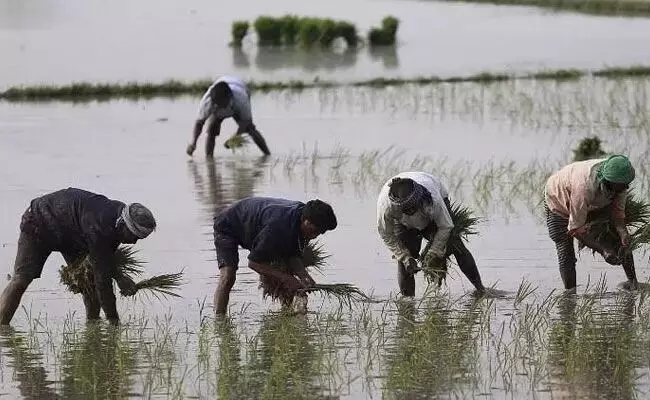 ಮೋದಿ ಸರಕಾರದ ಅವಧಿಯಲ್ಲಿ 4 ಲಕ್ಷಕ್ಕೂ ಅಧಿಕ ರೈತರು ಮೃತ್ಯು: ವಿಜೂ ಕೃಷ್ಣನ್ ಆರೋಪ