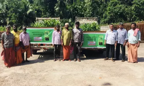 ಪ್ರಕೃತಿಯೊಂದಿಗೆ ಮೈತ್ರಿ: ನಿಮ್ಮ ಜಾಗ, ನಮ್ಮ ಗಿಡ