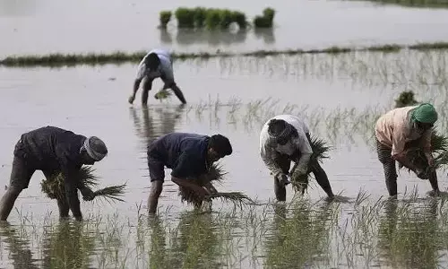 ಮೋದಿ ಸರಕಾರದ ಅವಧಿಯಲ್ಲಿ 4 ಲಕ್ಷಕ್ಕೂ ಅಧಿಕ ರೈತರು ಮೃತ್ಯು: ವಿಜೂ ಕೃಷ್ಣನ್ ಆರೋಪ