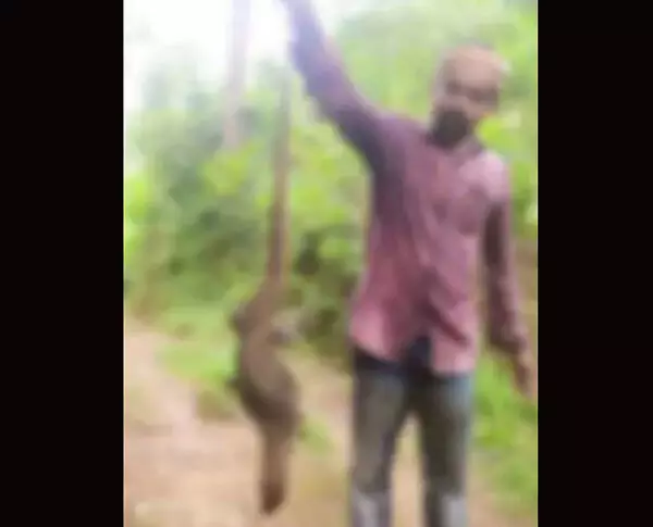 ಬಂಟ್ವಾಳ : ಉಡಾ ಬೇಟೆಯಾಡಿ ಫೋಟೋಗೆ ಪೋಸ್‌ ಕೊಟ್ಟ ಯುವಕ; ಪ್ರಕರಣ ದಾಖಲು