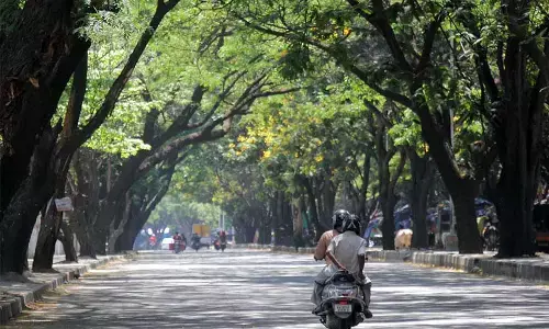 ʼನಮ್ಮ ಮೆಟ್ರೊʼ ಕಾಮಗಾರಿ: 257 ಮರಗಳ ತೆರವಿಗೆ ಹೈಕೋರ್ಟ್ ಅಸ್ತು