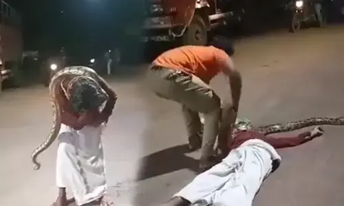 ಕೇರಳ: ಹೆಬ್ಬಾವಿನೊಂದಿಗೆ ಪೆಟ್ರೋಲ್ ಬಂಕ್ ಗೆ ಬಂದ ಪಾನಮತ್ತ ವ್ಯಕ್ತಿ; ವೀಡಿಯೋ ವೈರಲ್