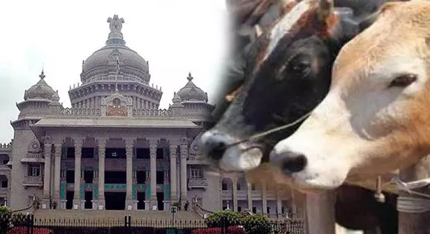 ಬಿಜೆಪಿ ಸರಕಾರದ ಅವೈಜ್ಞಾನಿಕ ಅಧಿಸೂಚನೆಯಿಂದ ನೆನೆಗುದಿಗೆ ಬಿದ್ದ ಪಶು ವೈದ್ಯಾಧಿಕಾರಿ ಹುದ್ದೆಗಳ ನೇಮಕಾತಿ