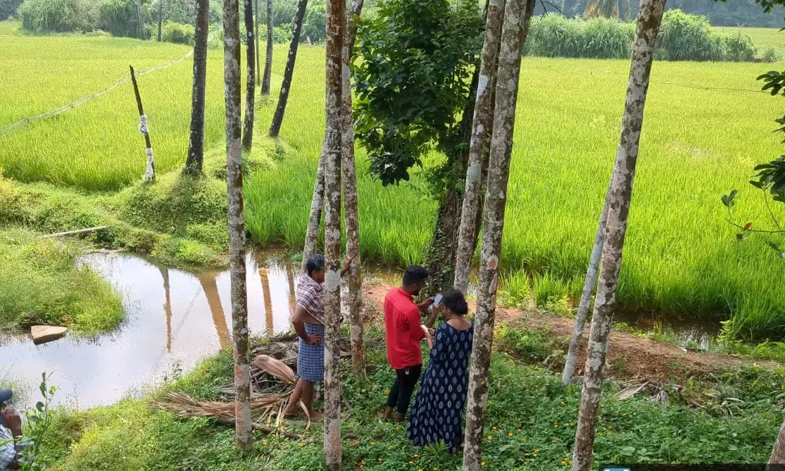ಉಡುಪಿ ಜಿಲ್ಲೆಯಾದ್ಯಂತ ಬೆಳೆ ಸಮೀಕ್ಷೆ ಶೇ.90ರಷ್ಟು ಪೂರ್ಣ: ಶೀಘ್ರವೇ ಸರಕಾರಕ್ಕೆ ವರದಿ ಸಲ್ಲಿಕೆ