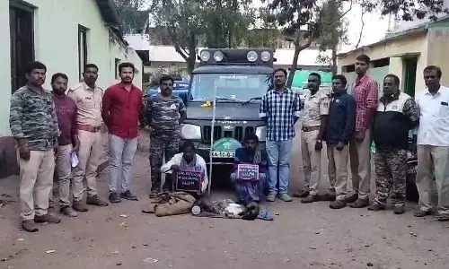 ಚಾಮರಾಜನಗರ: ಮೊಲ, ಕಾಡು ಬೆಕ್ಕುಗಳ ಅಕ್ರಮ ಸಾಗಾಟ; ಆರೋಪಿಗಳ ಬಂಧನ