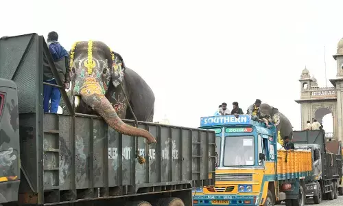 ಜಂಬೂಸವಾರಿಗೂ ಮುನ್ನ ದರ್ಗಾಕ್ಕೆ ಭೇಟಿ ನೀಡಿದ  ʻಅಭಿಮನ್ಯುʻ ನೇತೃತ್ವದ ಗಜ ಪಡೆ