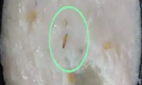 ಚಿನ್ನಸ್ವಾಮಿ ಕ್ರೀಡಾಂಗಣದಲ್ಲಿ ಭದ್ರತೆಗೆ ನಿಯೋಜನೆಗೊಂಡಿದ್ದ ಪೊಲೀಸರ ಊಟದಲ್ಲಿ ಹುಳ ಪತ್ತೆ ಪ್ರಕರಣ:  FIR ದಾಖಲು