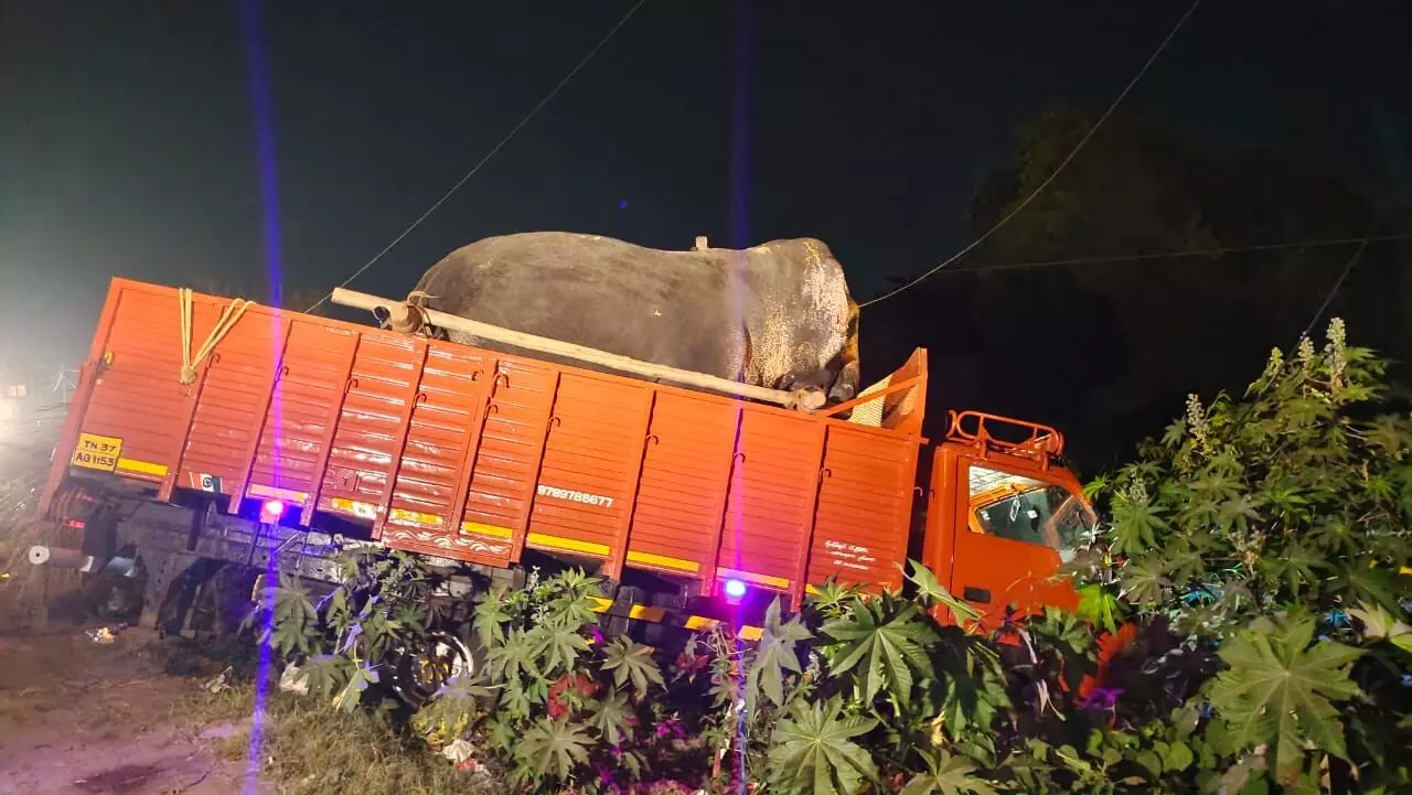 ಬನ್ನೇರುಘಟ್ಟ ದಸರಾದ ಆನೆಯನ್ನು ಸಾಗಿಸುತ್ತಿದ್ದ ಲಾರಿ ತಮಿಳುನಾಡಿನಲ್ಲಿ ಅಪಘಾತ; ಚಾಲಕ ಸಾವು
