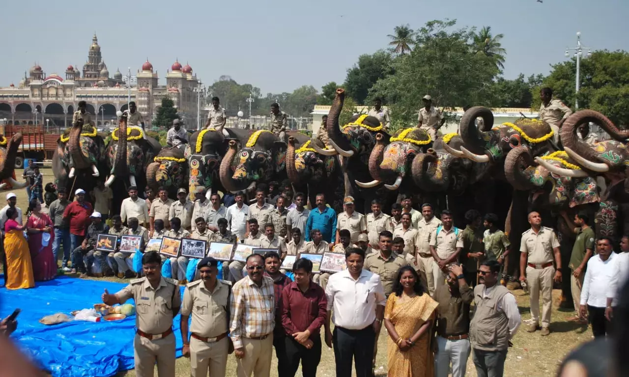 ಮೈಸೂರು | ಜಂಬೂ ಸವಾರಿಯಲ್ಲಿ ಪಾಲ್ಗೊಂಡಿದ್ದ ಆನೆಗಳಿಗೆ ಬೀಳ್ಕೊಡುಗೆ