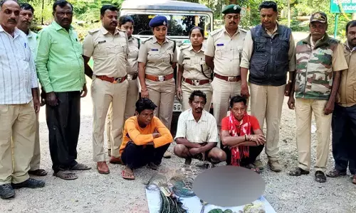 ನವಿಲು ಬೇಟೆ; ಮೂವರನ್ನು ಬಂಧಿಸಿದ ಅರಣ್ಯಾಧಿಕಾರಿಗಳು