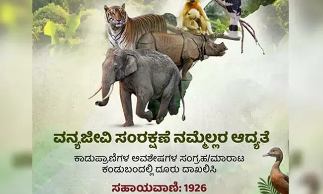 ವನ್ಯಜೀವಿ ವಸ್ತುಗಳ ಸಂಗ್ರಹ, ಮಾರಾಟದ ವಿರುದ್ಧ ಇನ್ನಷ್ಟು ಕಠಿಣ ನಿಯಮಗಳನ್ನು ರೂಪಿಸಲು ಹೊಸ ಸಮಿತಿ ರಚನೆ