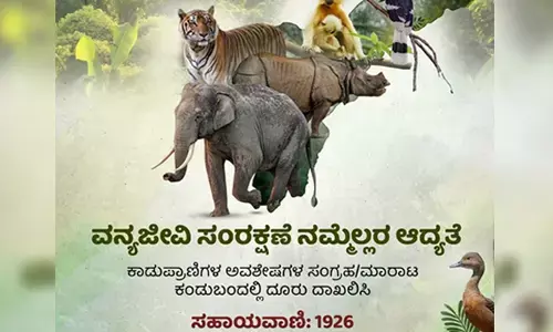 ವನ್ಯಜೀವಿ ವಸ್ತುಗಳ ಸಂಗ್ರಹ, ಮಾರಾಟದ ವಿರುದ್ಧ ಇನ್ನಷ್ಟು ಕಠಿಣ ನಿಯಮಗಳನ್ನು ರೂಪಿಸಲು ಹೊಸ ಸಮಿತಿ ರಚನೆ