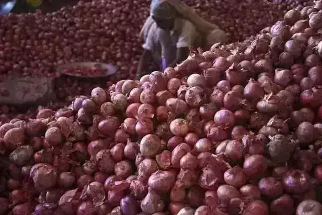 ಡಿ.31ರವರೆಗೆ ಪ್ರತಿ ಟನ್ ಈರುಳ್ಳಿಗೆ 800 ಡಾಲರ್ ಕನಿಷ್ಠ ರಫ್ತು ಬೆಲೆ ನಿಗದಿ