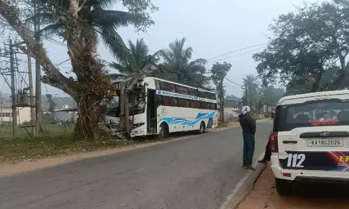 ಚಿಕ್ಕಮಗಳೂರು: ವಿದ್ಯುತ್ ಕಂಬಕ್ಕೆ ಢಿಕ್ಕಿ ಹೊಡೆದ ಖಾಸಗಿ ಬಸ್; ಹಲವರಿಗೆ ಗಾಯ