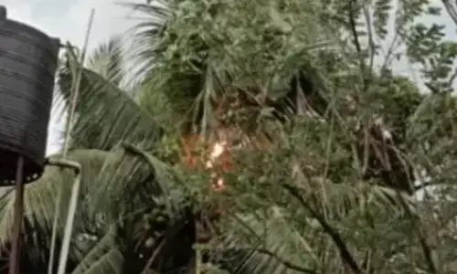 ಬಂಟ್ವಾಳ: ತೆಂಗಿನ ಮರಕ್ಕೆ ಸಿಡಿಲು ಬಡಿದು ಬೆಂಕಿ