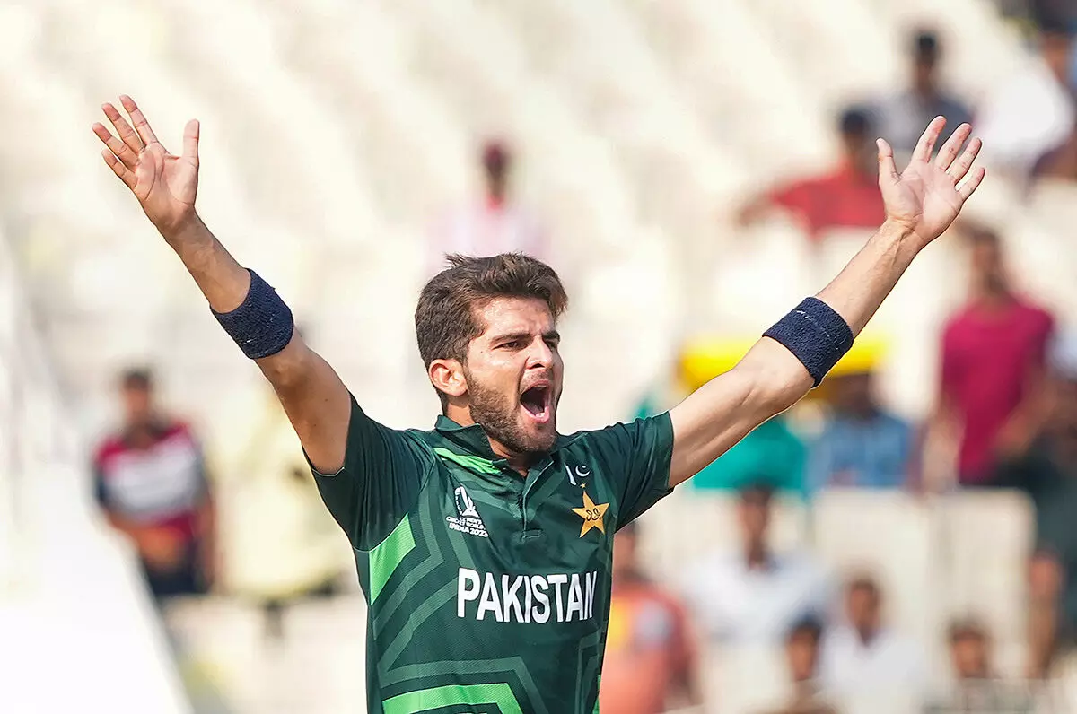 ವಿಕೆಟ್ ಗಳಿಕೆಯಲ್ಲಿ ಶತಕ ಪೂರೈಸಿದ ಪಾಕಿಸ್ತಾನದ ವೇಗಿ ಶಾಹೀನ್ ಶಾಹೀನ್ ಅಫ್ರಿದಿ ವಿಕೆಟ್ ಗಳಿಕೆಯಲ್ಲಿ ಶತಕ ಪೂರೈಸಿದ ಪಾಕಿಸ್ತಾನದ ವೇಗಿ ಶಾಹೀನ್ ಶಾಹೀನ್ ಅಫ್ರಿದಿ