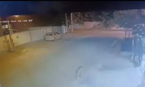 ಬೆಂಗಳೂರು: ತಪ್ಪಿಸಿಕೊಂಡ ಚಿರತೆ ಸೆರೆಗೆ 5 ತಂಡ ನಿಯೋಜನೆ