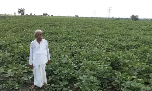 ಹುಬ್ಬಳ್ಳಿ: ಸಾಲ ವಸೂಲಿಗೆ ಬಂದ ಬ್ಯಾಂಕ್ ಮ್ಯಾನೇಜರ್ ಗೆ ಹೆದರಿ ಆತ್ಮಹತ್ಯೆ ಮಾಡಿಕೊಂಡ ರೈತ..!