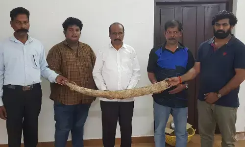 ಕೇರಳದಲ್ಲಿ ಆನೆ ದಂತ ಮಾರಾಟಕ್ಕೆ ಯತ್ನ; ಕೊಡಗಿನ ಇಬ್ಬರು ಸೇರಿ 6 ಮಂದಿ ಆರೋಪಿಗಳ ಬಂಧನ