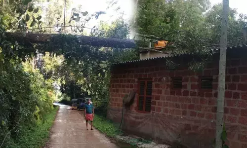 ಉಪ್ಪಿನಂಗಡಿ: ಮರ ಬಿದ್ದು ಮನೆಗೆ ಹಾನಿ; ಅಪಾಯದಿಂದ ಪಾರಾದ ಮನೆ ಮಂದಿ