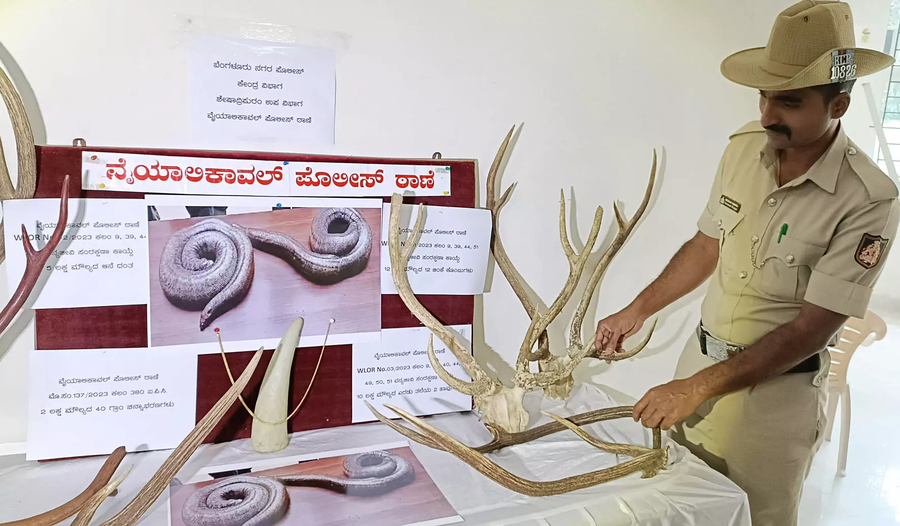 ಬೆಂಗಳೂರು | ಜಿಂಕೆ ಕೊಂಬು, ಆನೆ ದಂತ, ಎರಡು ತಲೆ ಹಾವು ಮಾರಾಟ ಮಾಡುತ್ತಿದ್ದ ​ಐವರು ಆರೋಪಿಗಳ ಬಂಧನ