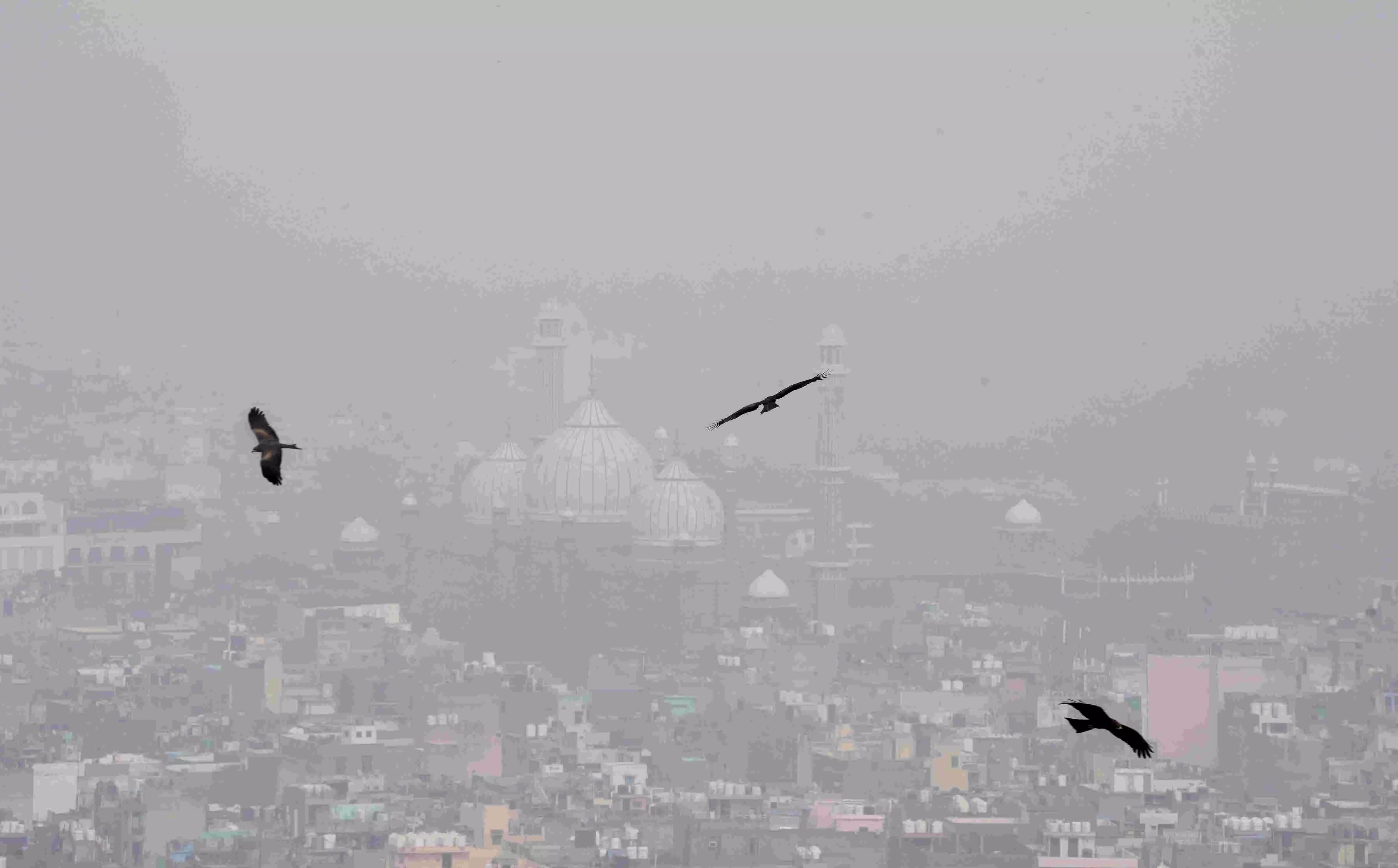 ದಿಲ್ಲಿಯಲ್ಲಿ ಕೊಂಚ ತಗ್ಗಿದ ವಾಯುಮಾಲಿನ್ಯ: ತ್ವರಿತ ಕ್ರಮಕ್ಕೆ ಸರಕಾರಕ್ಕೆ ನಿವಾಸಿಗಳ ಆಗ್ರಹ ದಿಲ್ಲಿಯಲ್ಲಿ ಕೊಂಚ ತಗ್ಗಿದ ವಾಯುಮಾಲಿನ್ಯ: ತ್ವರಿತ ಕ್ರಮಕ್ಕೆ ಸರಕಾರಕ್ಕೆ ನಿವಾಸಿಗಳ ಆಗ್ರಹ