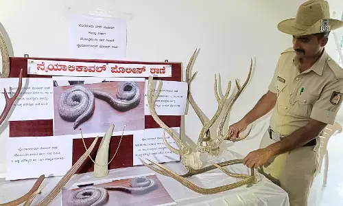 ಬೆಂಗಳೂರು | ಜಿಂಕೆ ಕೊಂಬು, ಆನೆ ದಂತ, ಎರಡು ತಲೆ ಹಾವು ಮಾರಾಟ ಮಾಡುತ್ತಿದ್ದ ​ಐವರು ಆರೋಪಿಗಳ ಬಂಧನ