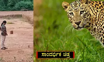 ಕೊಣಾಜೆ, ತೌಡುಗೋಳಿ ಪರಿಸರದಲ್ಲಿ ಮತ್ತೆ ಚಿರತೆಯ ಹೆಜ್ಜೆ ಗುರುತು ಪತ್ತೆ