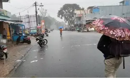 ಕಲ್ಲಡ್ಕ: ಭಾರೀ ಮಳೆಗೆ ಮರಬಿದ್ದು ಗೂಡಂಗಡಿ, ಬಸ್ ತಂಗುದಾಣಕ್ಕೆ ಹಾನಿ