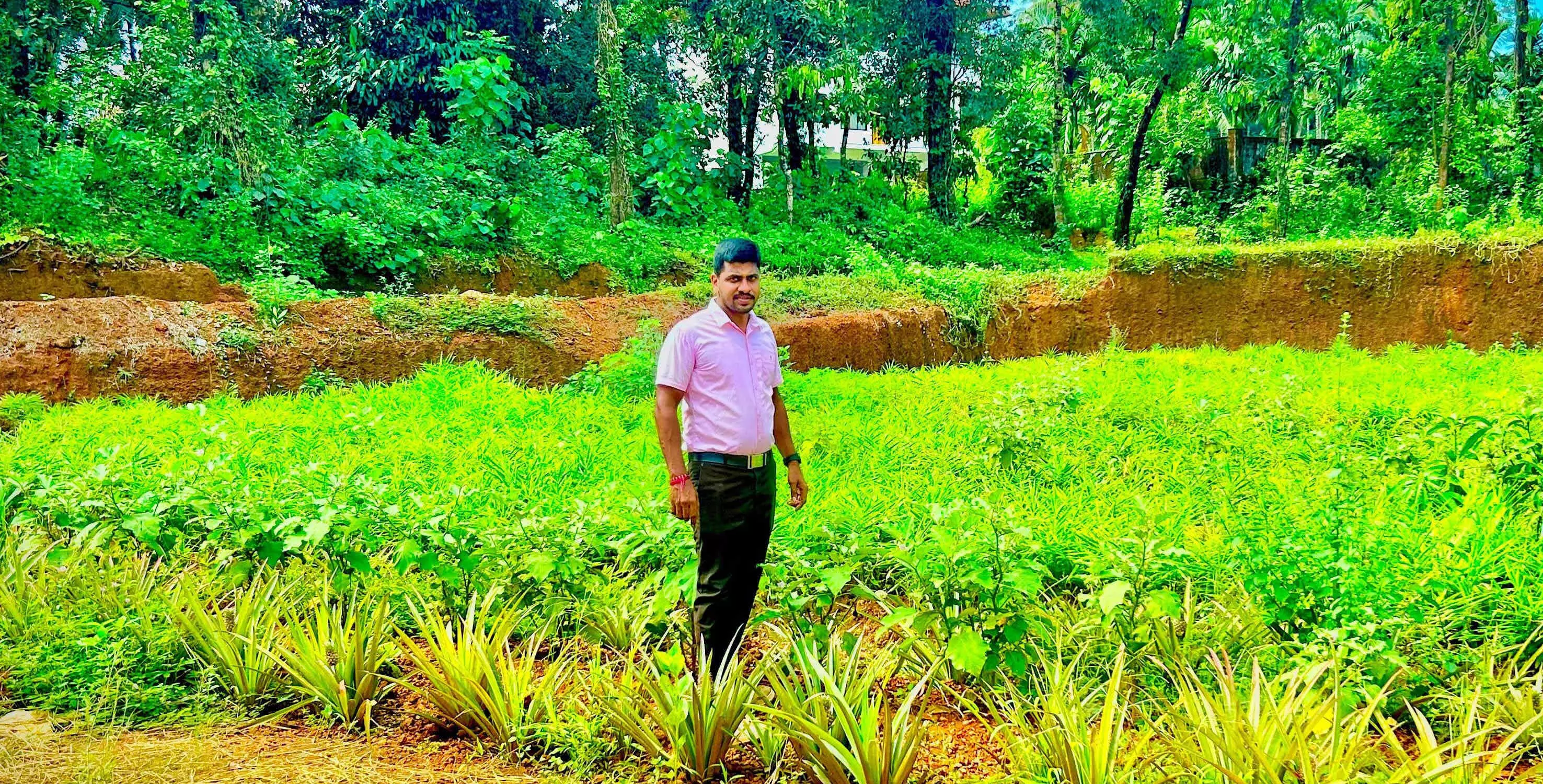 ಕುಂದಾಪುರ: ಹಡಿಲು ಭೂಮಿಯಲ್ಲಿ ಭತ್ತ ಕೃಷಿ ಮಾಡಿದ ಉದ್ಯಮಿ