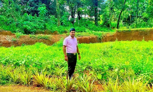 ಕುಂದಾಪುರ: ಹಡಿಲು ಭೂಮಿಯಲ್ಲಿ ಭತ್ತ ಕೃಷಿ ಮಾಡಿದ ಉದ್ಯಮಿ