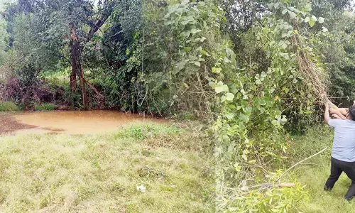 ನೈಸರ್ಗಿಕವಾಗಿ ಕೊಳ ಸಂರಕ್ಷಣೆಯ ಪ್ರಾಜೆಕ್ಟ್ ಪಕ್ಷಿಕೆರೆ