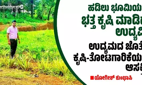 ಹಡಿಲು ಭೂಮಿಯಲ್ಲಿ ಭತ್ತ ಕೃಷಿ ಮಾಡಿದ ಉದ್ಯಮಿ