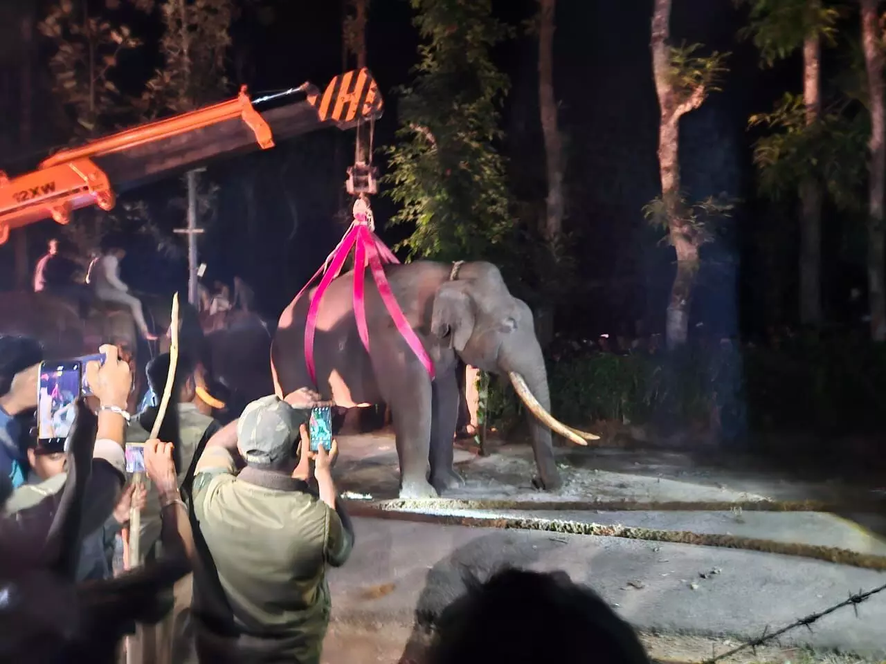 ಚಿಕ್ಕಮಗಳೂರು: ಕಾಡಾನೆ ಸೆರೆ ಹಿಡಿದು ಸಕ್ರೆಬೈಲ್ ಶಿಬಿರಕ್ಕೆ ಸ್ಥಳಾಂತರಿಸಿದ ಅರಣ್ಯಾಧಿಕಾರಿಗಳ ತಂಡ ಚಿಕ್ಕಮಗಳೂರು: ಕಾಡಾನೆ ಸೆರೆ ಹಿಡಿದು ಸಕ್ರೆಬೈಲ್ ಶಿಬಿರಕ್ಕೆ ಸ್ಥಳಾಂತರಿಸಿದ ಅರಣ್ಯಾಧಿಕಾರಿಗಳ ತಂಡ