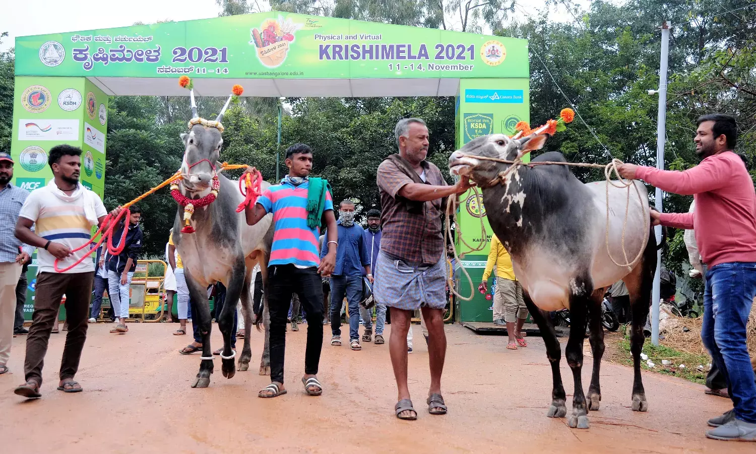 ಬೆಂಗಳೂರಿನಲ್ಲಿ ನ.17 ರಿಂದ ನಾಲ್ಕು ದಿನಗಳ ಕಾಲ ಕೃಷಿ ಮೇಳ; ಈ ಬಾರಿಯ ವಿಶೇಷತೆ ಏನು?