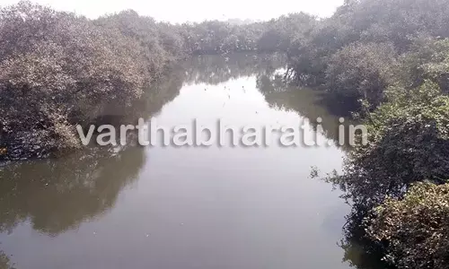 ಬಜ್ಪೆ: ಫಲ್ಗುಣಿ ನದಿಗೆ ಬಿದ್ದು ಯುವಕ ನಾಪತ್ತೆ