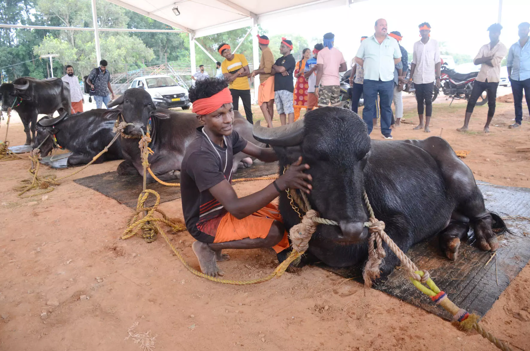 ಬೆಂಗಳೂರು ಕಂಬಳ; ನ.25ಕ್ಕೆ ಅರಮನೆ ಮೈದಾನದಲ್ಲಿ ಮುಖ್ಯಮಂತ್ರಿ ಸಿದ್ದರಾಮಯ್ಯರಿಂದ ಚಾಲನೆ