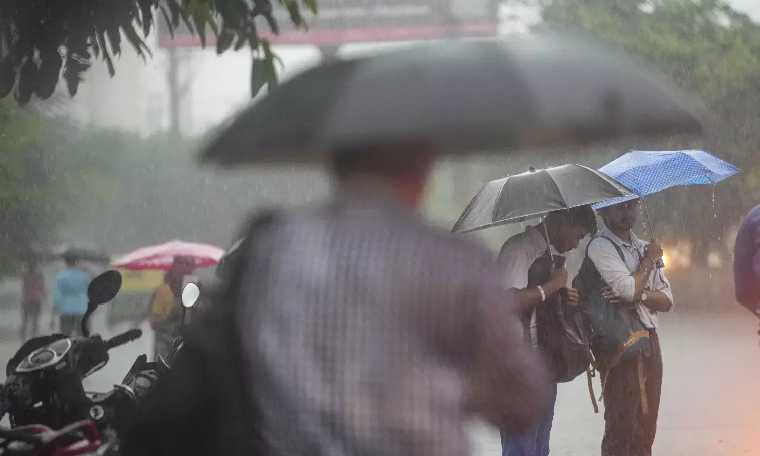 ಭಾರೀ ಮಳೆ: ಕೇರಳದ ಹಲವು ಪ್ರದೇಶಗಳು ಜಲಾವೃತ; ತಮಿಳುನಾಡಿನಲ್ಲಿ ಶಾಲೆಗಳಿಗೆ ರಜೆ