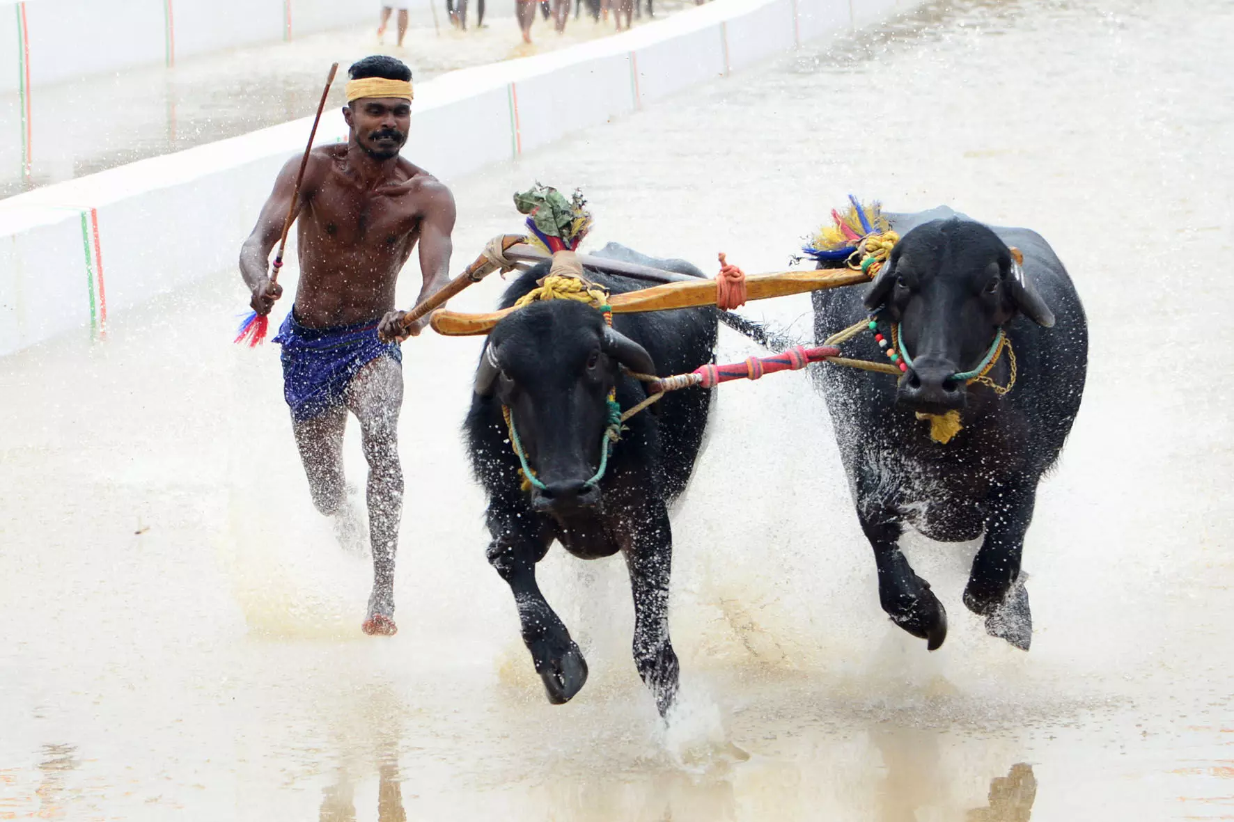 PHOTOS | ಬೆಂಗಳೂರಿನಲ್ಲಿ ಕರಾವಳಿಯ ಕಂಬಳ