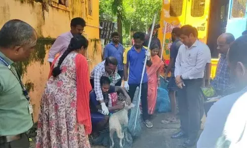 29 ಜನರಿಗೆ ಕಚ್ಚಿದ ನಾಯಿಯಲ್ಲಿ ರೇಬೀಸ್‌ ಸೋಂಕು ಧೃಡ