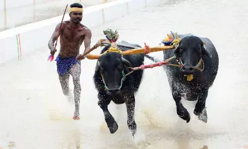 PHOTOS | ಬೆಂಗಳೂರಿನಲ್ಲಿ ಕರಾವಳಿಯ ಕಂಬಳ