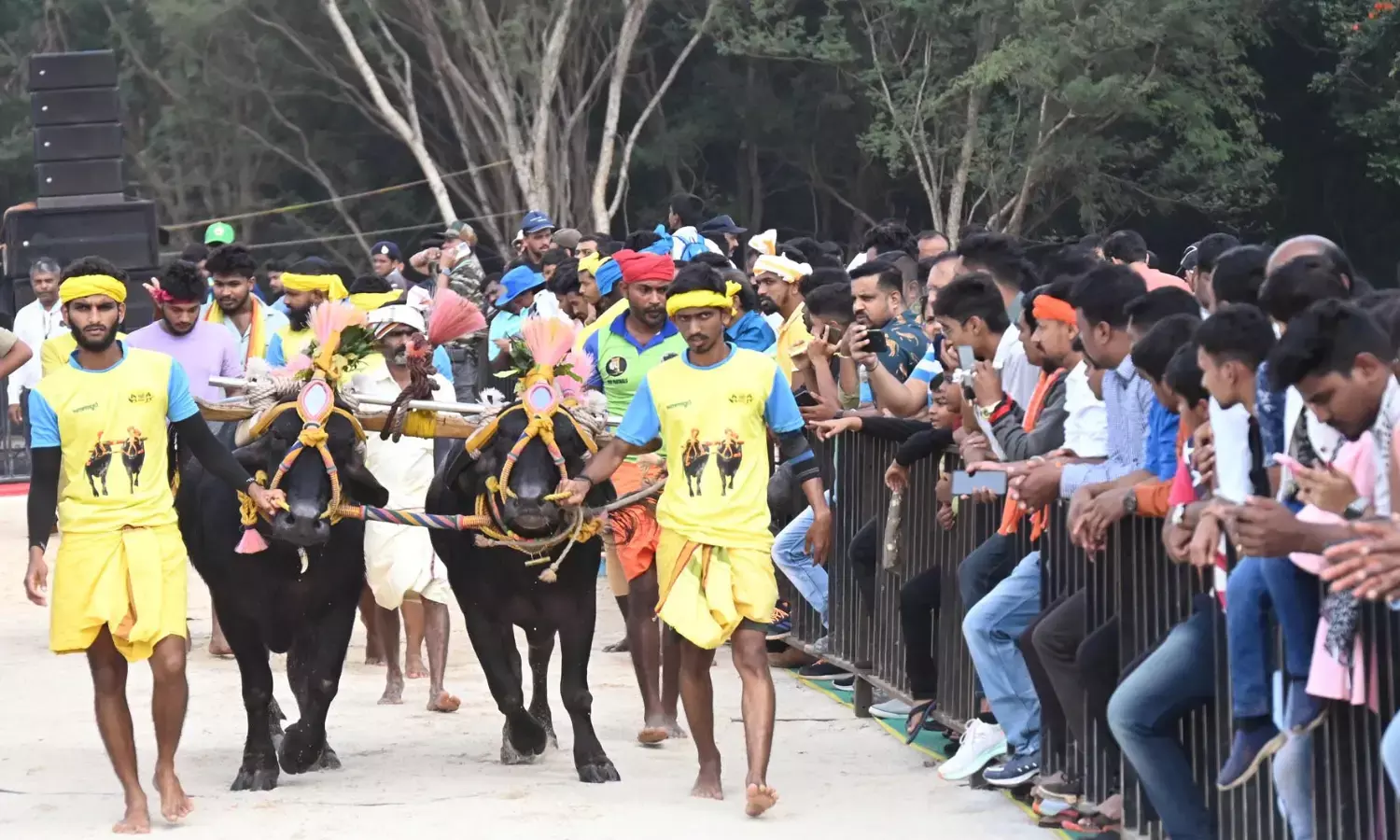 ಅದ್ದೂರಿ ‘ಬೆಂಗಳೂರು ಕಂಬಳ’ : ಲಕ್ಷಾಂತರ ಜನರು ಭಾಗಿ