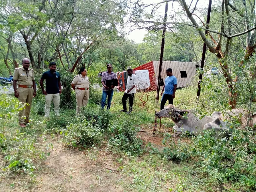 ಚಾಮರಾಜಗರ: ಕರ್ನಾಟಕದಿಂದ ತಮಿಳುನಾಡಿಗೆ ಜಾನುವಾರು ಸಾಗಾಟ; ಓರ್ವನ ಬಂಧನ ಚಾಮರಾಜಗರ: ಕರ್ನಾಟಕದಿಂದ ತಮಿಳುನಾಡಿಗೆ ಜಾನುವಾರು ಸಾಗಾಟ; ಓರ್ವನ ಬಂಧನ